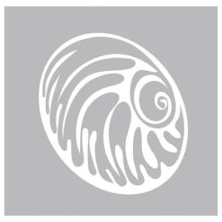 3 Stickers Nautile, 15×15 Cm